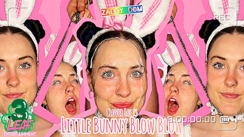 Little Bunny Blow Blow