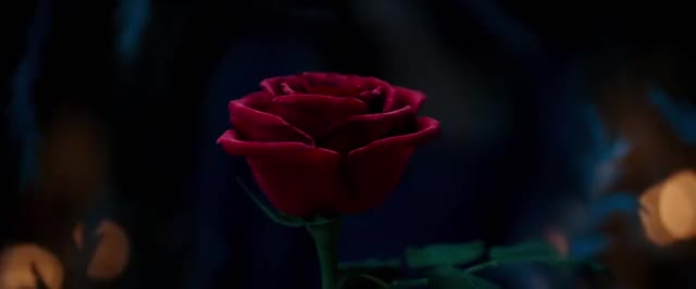 Beauty and the Beast teaser