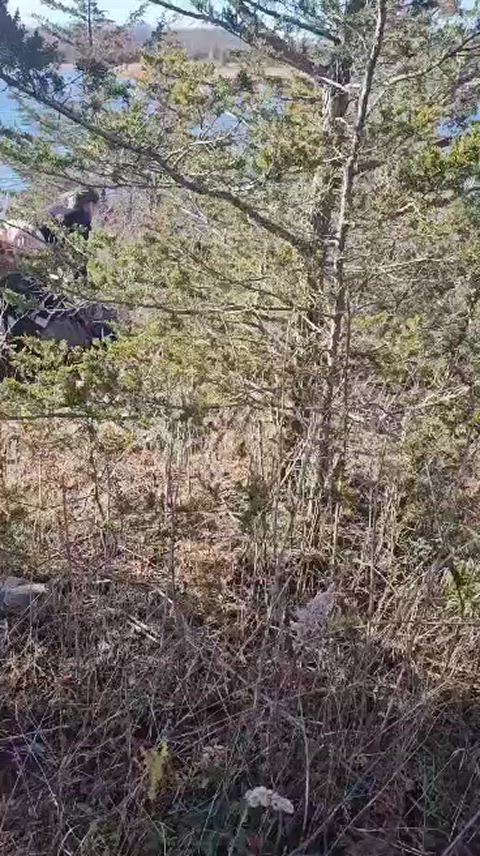 He said he'd be right back and came back to us getting naughty