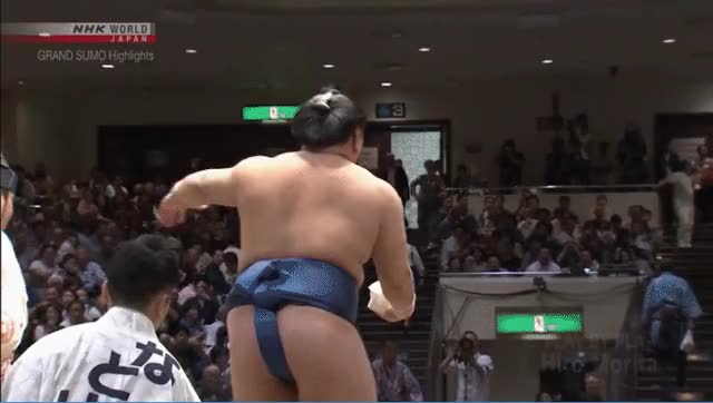 Terutsuyoshi (Natsu Basho, day 6)