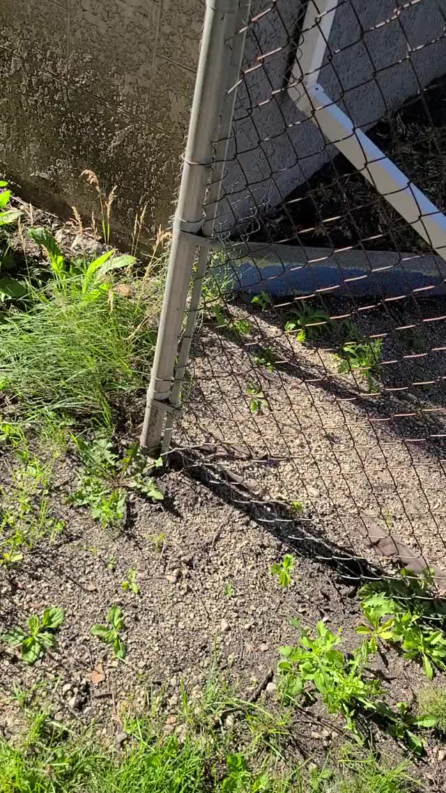 A semi on the walk to work