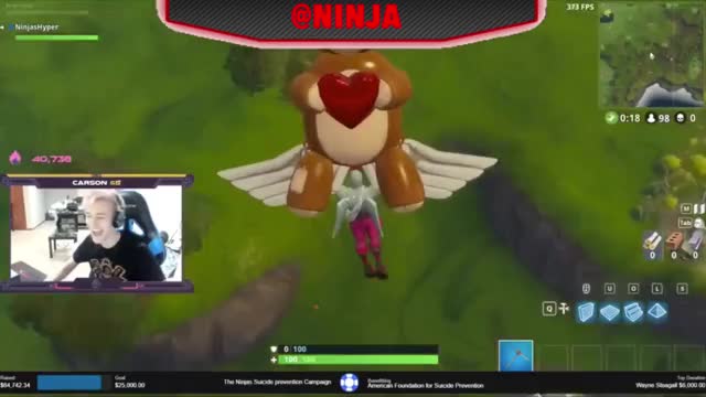 MrBeast DONATES NINJA