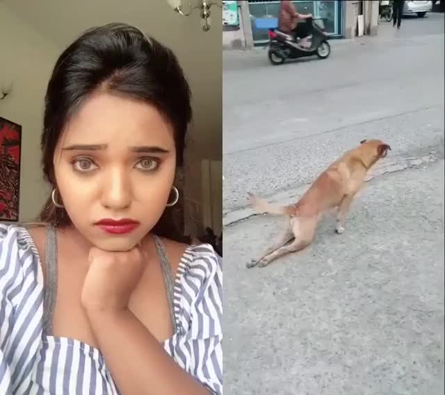 POOR DOG ? #charms #dubai #featureme #india #lipsync #love #dog #duet #featurethis