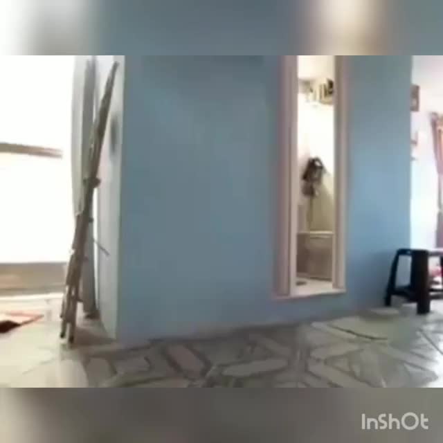 kucing sudah mulai mengganggu hooman