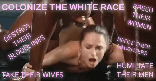 Good night white race