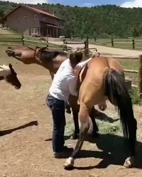 One girl, one horse
