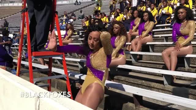 PVAMU BLACK FOX CAPTAIN