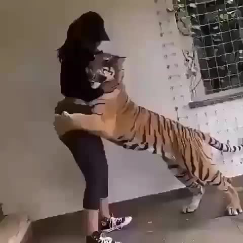 Giving My Favorite Hooman A Hug