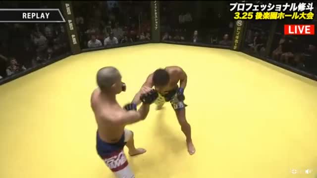 Captain Africa!!! Straight destruction for 30 seconds, nice little arm bar after