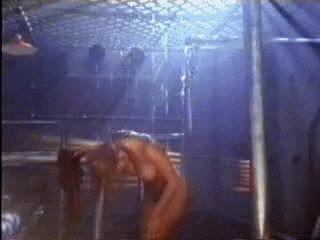 Pamela Anderson gif