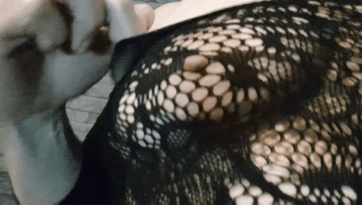 boobs fishnet nipples tits gif