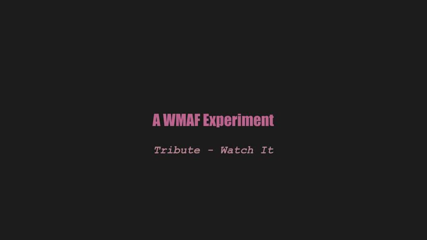 A wmaf experiment - Tribute - Watch It (splitscreen PMV)