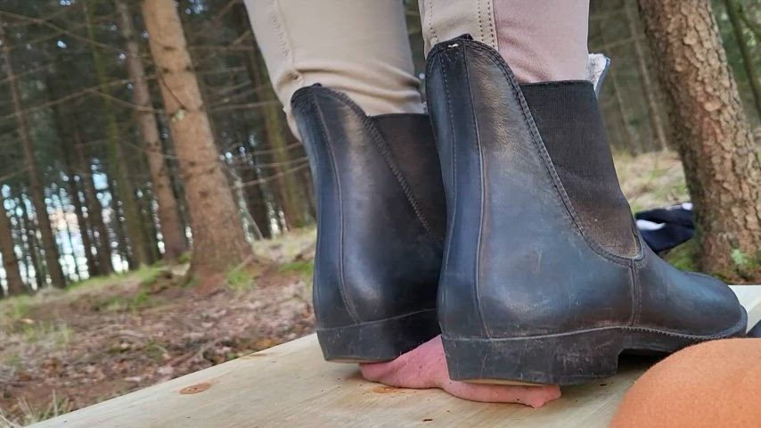 Cock trampling on cockboard in dirty riding boots