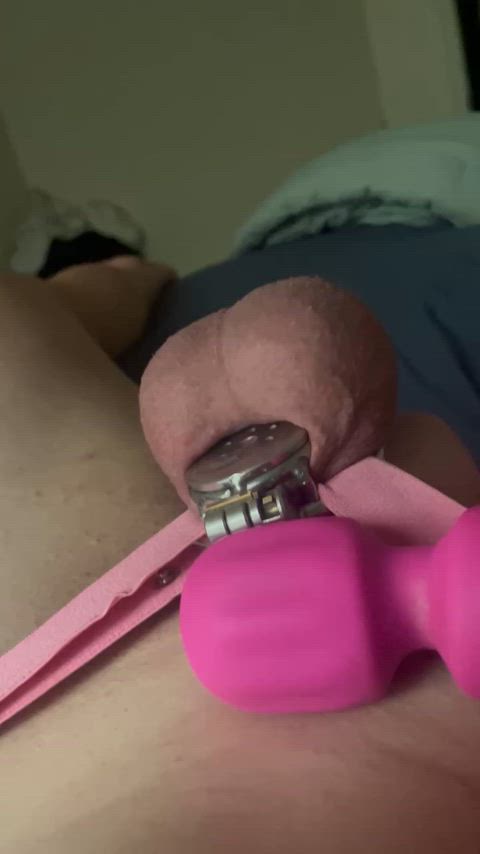 cagedsissy2020 chastity sissy microchastity gif