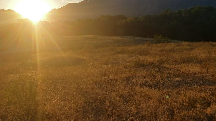 flashing ogden my cock in the early morning