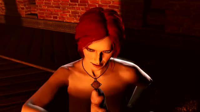 http://flyingsquirrel1000.tumblr.com/post/143694405201/triss-handjob-another-witcher-3-animation-for