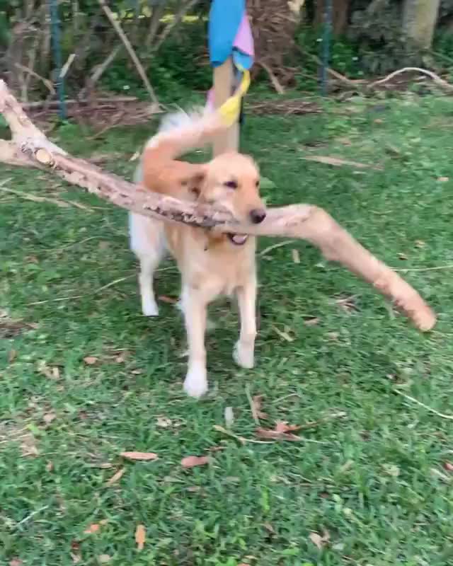 stick