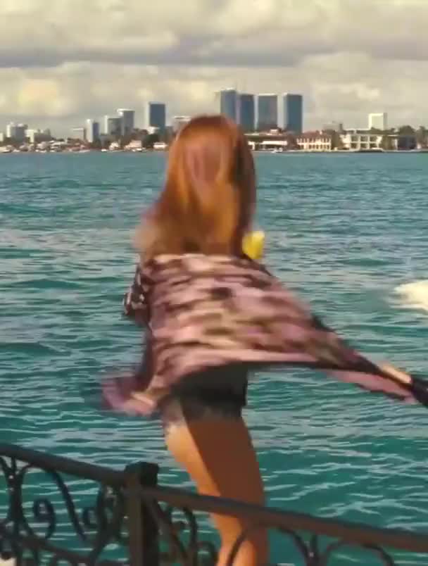 Isla Fisher - The Beach Bum