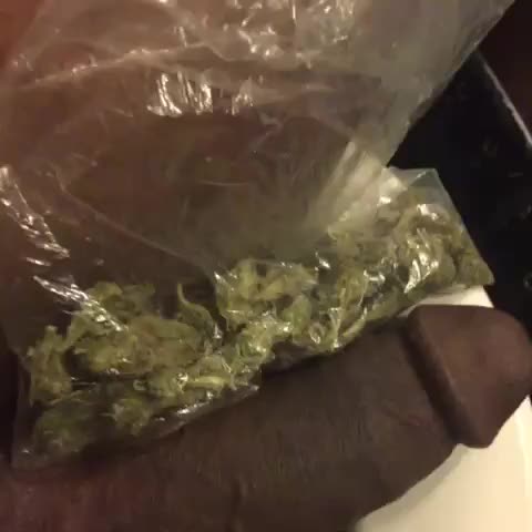 dick next to bag of weed 2EB9CB05B11217327673035395072 3f6aa2bebcc.3.3.15701127455155276123