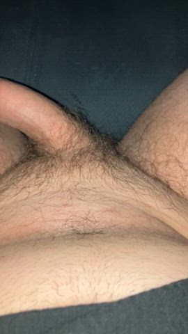 erection hairy thick cock gif