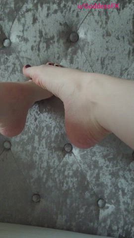 british feet feet fetish foot fetish girlfriend goddess toes gif