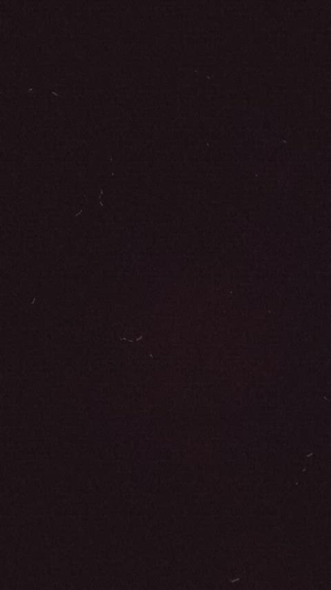 19m ~ peekaboo 🫣