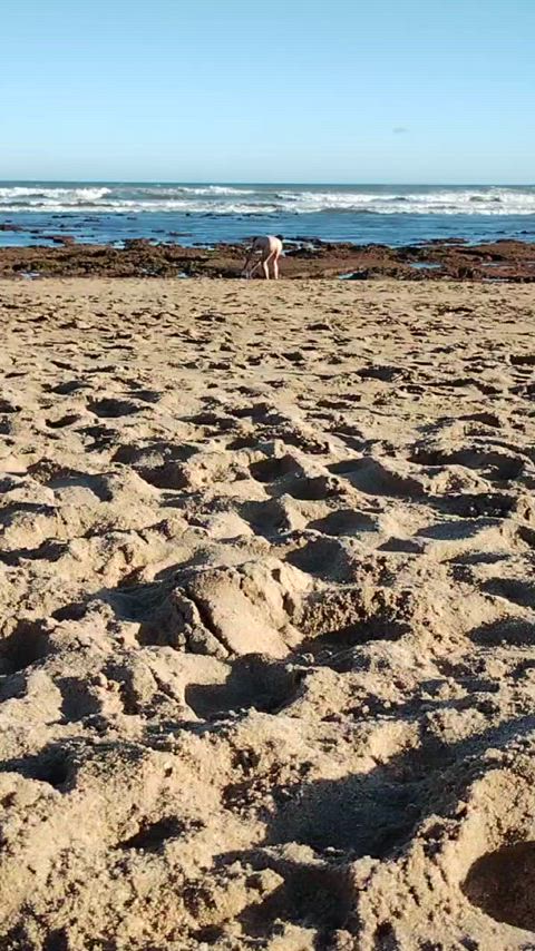 beach nudist slave gif