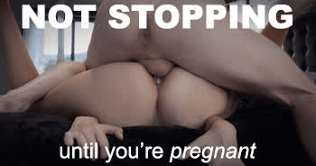 breeding creampie pregnant gif