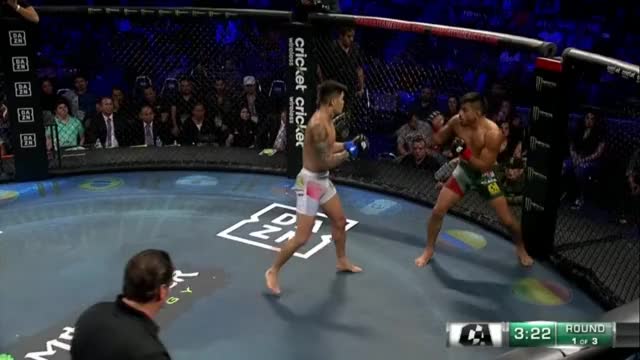 José Luis Medrano vs. Won Sik Park