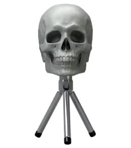 Skull on Tripod