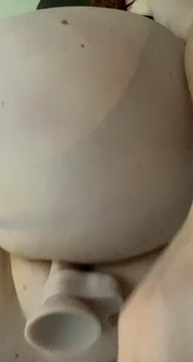 Anal Ass Dildo gif