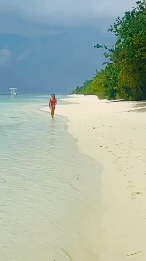 beach bikini celebrity bikinis gif