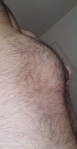 bear gay hairy ass gif