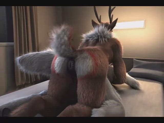 balls cumshot doggystyle furry knot monster cock gif