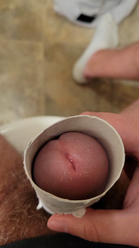 amateur cum cumshots male masturbation masturbating precum solo toilet dirty gif