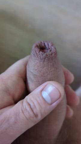 amateur foreskin penis gif