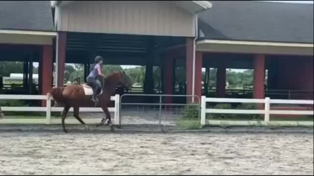 Aliyah on horse