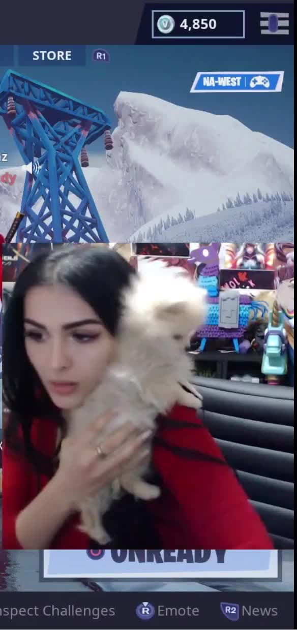 SSSniperwolf