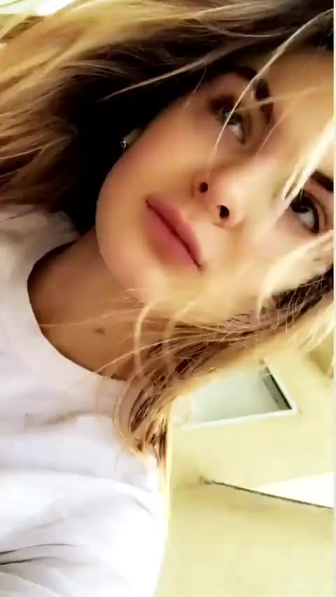 Brighton Sharbino