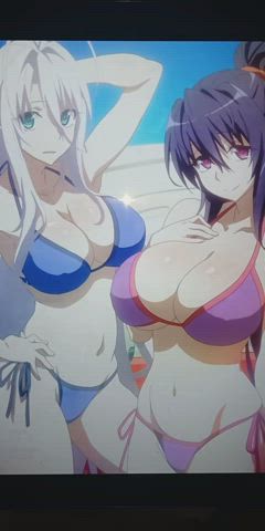rossweisse and akeno is very hot