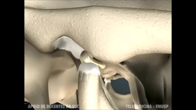 ATM - Articulação Temporo-mandibular