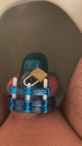 Blue Chastity Cock Mistress Penis Piss Pissing Sissy gif