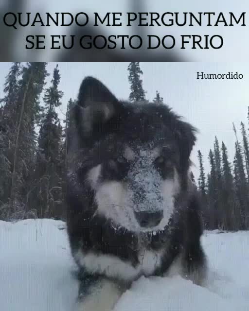 quando-me-perguntam-se-eu-gosto-do-frio