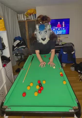 The donkey couldn’t wait until we finished our game of pool~