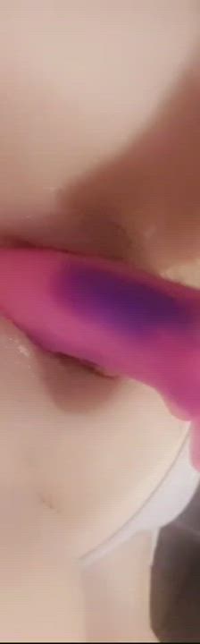 Dildo Pussy Lips Pussy Spread gif