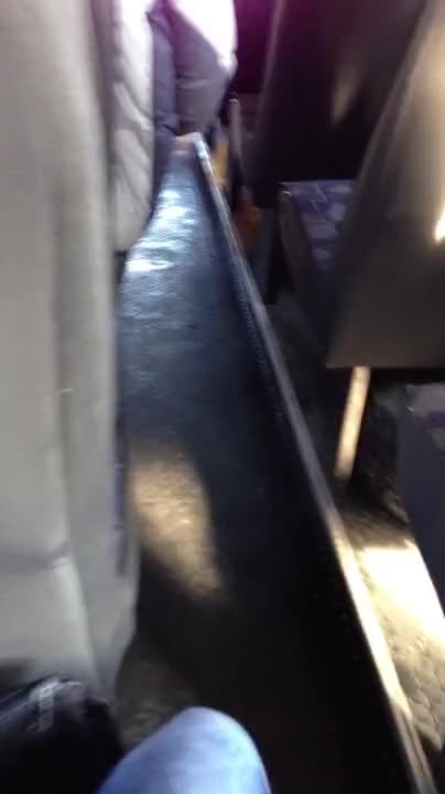 blowjob in the bus