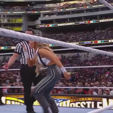 ass big tits boobs huge tits milf pawg thick tits trish stratus wrestling gif