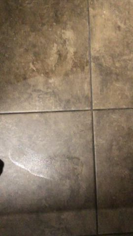 Socks gif