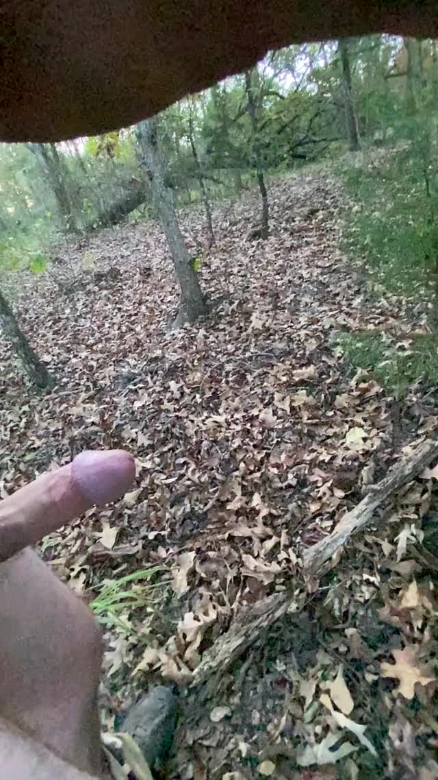 Who likes a good wank in the woods? ?