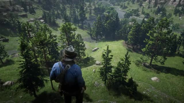 15 INSANE Details in Red Dead Redemption 2 (Part 5)